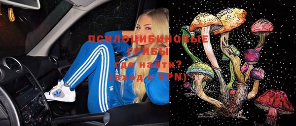 не бодяженный Алексин