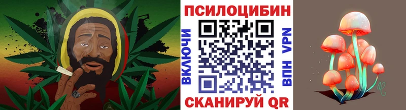 Псилоцибиновые грибы Magic Shrooms Лихославль